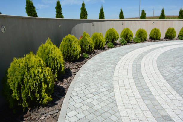 Best Brick Driveway Pavers  in Cordova, AK